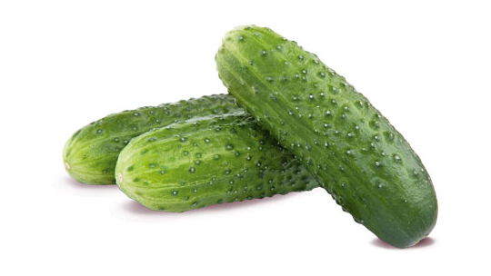 THORNY CUCUMBER 