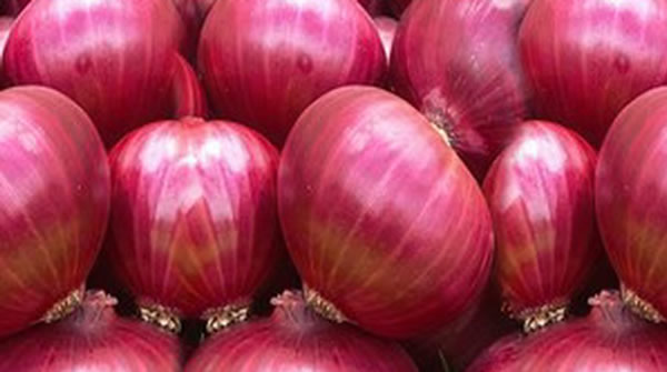 Red Onion