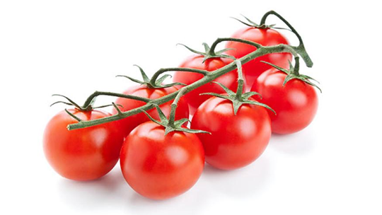 ELICA TOMATOES 