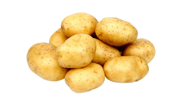 Potato