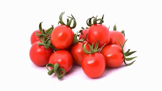 OVAL TOMATOES ENJOY 